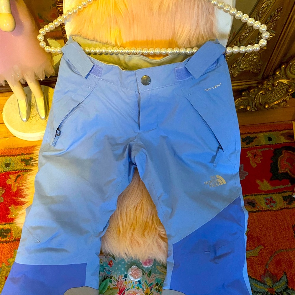Northface child size 5 snow pant.Very good condition!